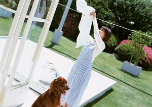 広大な敷地で犬長期預かりを行っている所