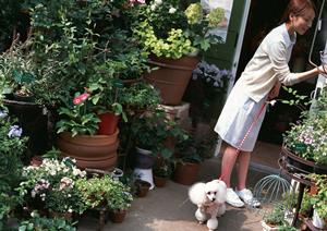 シロアリ駆除の専門【アサンテ】で安心・迅速な施工を実現｜土日祝日も対応可能